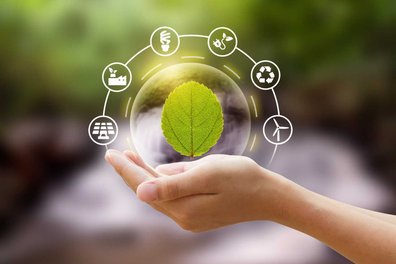 Arquitetura de Valor: Como Conectar Marca, Negócio e Crescimento Sustentável