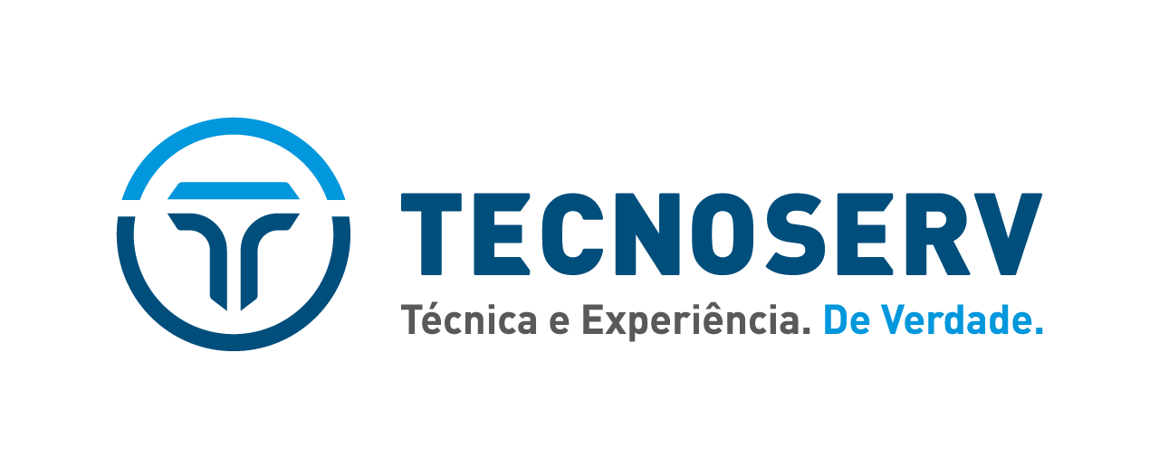 Logo TECNOSERV